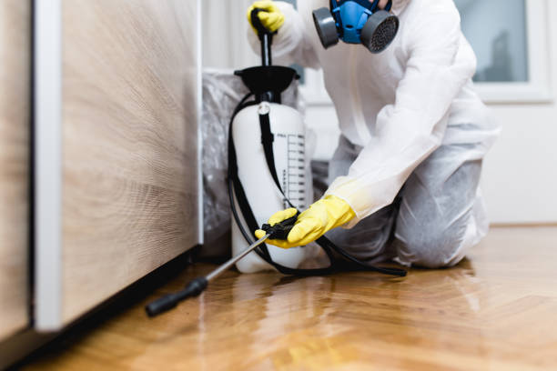 Best Pest Inspection Near Me  in Mountain Home Af, ID
