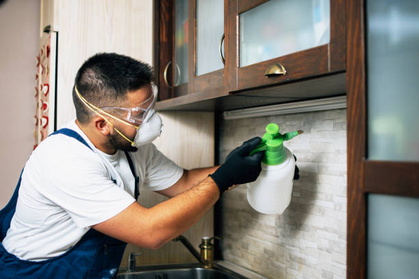 Best Bed Bug Extermination  in Mountain Home Af, ID