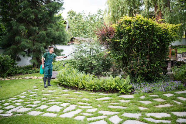Best Affordable Pest Control Services  in Mountain Home Af, ID