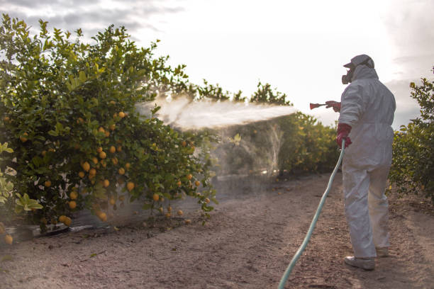  Mountain Home Af, ID Pest Control Pros